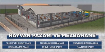 Başkan Şenlikoğlu’ndan Hayvancılığa Tam Destek